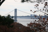 IMG_0834.JPG.small.jpeg