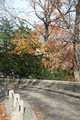 IMG_0851.JPG.small.jpeg