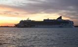 IMG_0890_e.JPG.small.jpeg