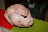 IMG_0909.JPG.small.jpeg