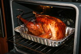 IMG_0942.JPG.small.jpeg