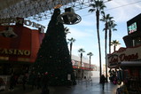 IMG_1074.JPG.small.jpeg