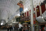 IMG_1081.JPG.small.jpeg