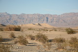 IMG_1138.JPG.small.jpeg