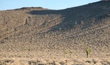 IMG_1145_e.JPG.small.jpeg