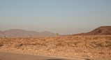 IMG_1148_e.JPG.small.jpeg
