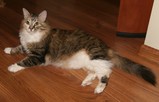 IMG_1337_e.JPG.small.jpeg