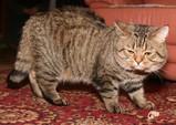 IMG_1388_e.JPG.small.jpeg