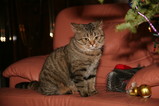 IMG_1389.JPG.small.jpeg