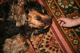 IMG_1393.JPG.small.jpeg