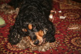 IMG_1399.JPG.small.jpeg
