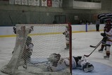 IMG_1436_e.JPG.small.jpeg