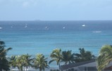 IMG_1442_e.JPG.small.jpeg