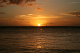 IMG_1451.JPG.small.jpeg