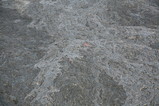IMG_1525.JPG.small.jpeg
