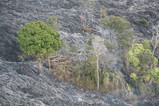 IMG_1527.JPG.small.jpeg