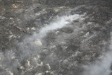 IMG_1547.JPG.small.jpeg