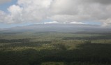 IMG_1579_e.JPG.small.jpeg