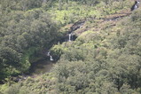 IMG_1581.JPG.small.jpeg
