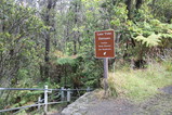 IMG_1617.JPG.small.jpeg