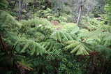 IMG_1619.JPG.small.jpeg