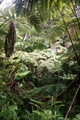 IMG_1621.JPG.small.jpeg