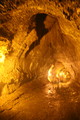 IMG_1624.JPG.small.jpeg
