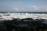 IMG_1643.JPG.small.jpeg