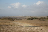 IMG_1649.JPG.small.jpeg