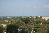 IMG_1725.JPG.small.jpeg