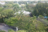 IMG_1727.JPG.small.jpeg