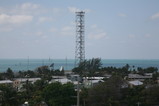 IMG_1731.JPG.small.jpeg