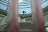IMG_1737.JPG.small.jpeg