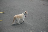 IMG_1742.JPG.small.jpeg