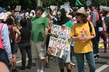 IMG_1846.JPG.small.jpeg
