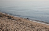 IMG_2155_e.JPG.small.jpeg