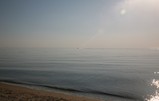 IMG_2156_e.JPG.small.jpeg