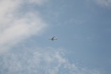 IMG_2298.JPG.small.jpeg