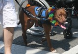 IMG_2462_e.JPG.small.jpeg