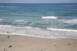IMG_2484.JPG.small.jpeg