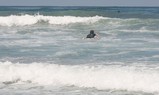 IMG_2486_e.JPG.small.jpeg