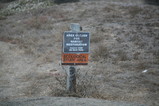 IMG_2524.JPG.small.jpeg