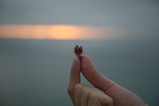 IMG_2526.JPG.small.jpeg