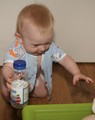 IMG_2542_e.JPG.small.jpeg