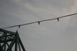 IMG_2561.JPG.small.jpeg
