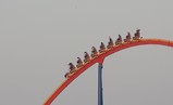 IMG_2570_e.JPG.small.jpeg