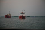 IMG_2584.JPG.small.jpeg