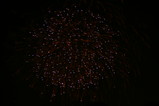 IMG_2594.JPG.small.jpeg