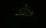 IMG_2638_e.JPG.small.jpeg