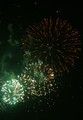 IMG_2645_e.JPG.small.jpeg
